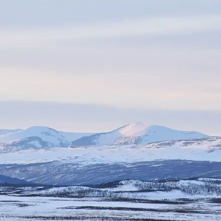 Hållbara elavtal för fjällens skull Fyrfasen